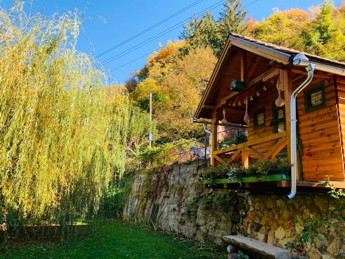 Kuca Za Odmor Bajka Villa ยาสเตรบาร์สโก ภายนอก รูปภาพ