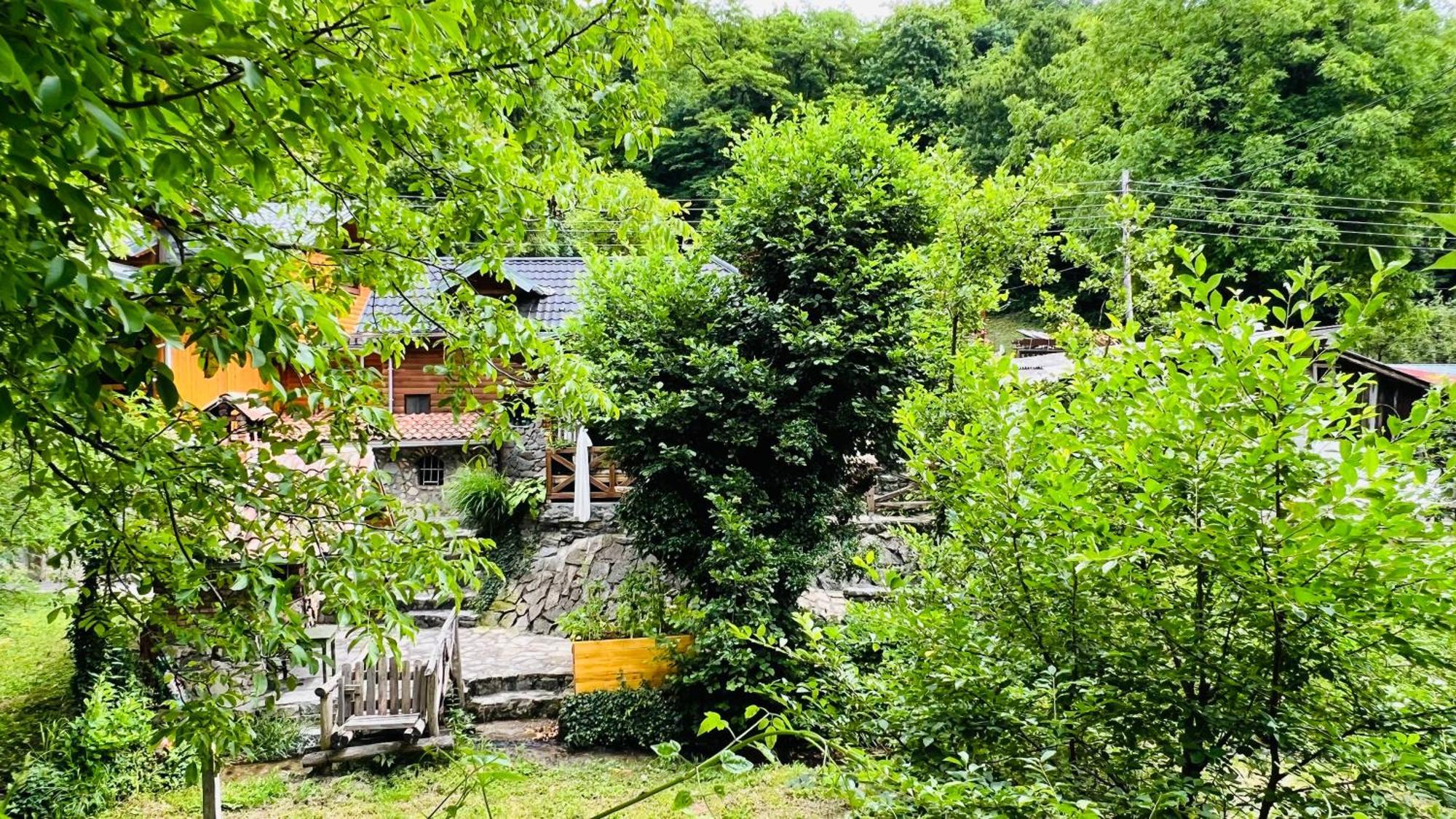 Kuca Za Odmor Bajka Villa ยาสเตรบาร์สโก ภายนอก รูปภาพ